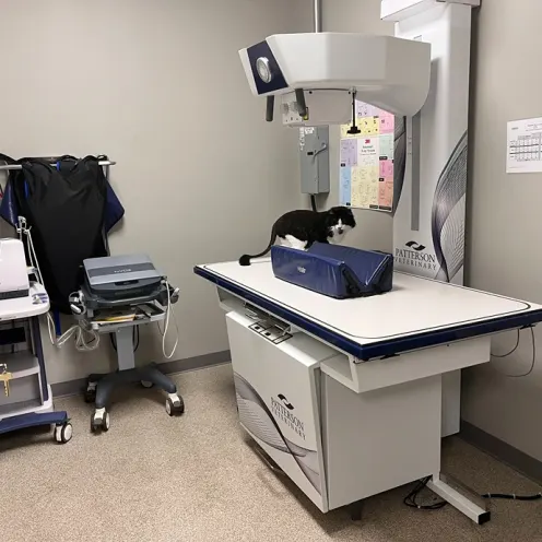 Pleasanton Veterinary Hospital X-Ray Room